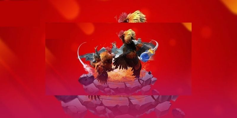 ภาพรวมของล็อบบี้การพนันไก่ชน